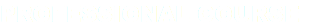 PROFESSIONAL COURSE